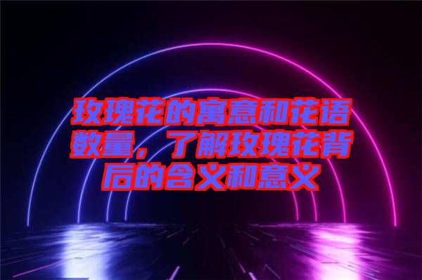 玫瑰花的寓意和花語數(shù)量，了解玫瑰花背后的含義和意義