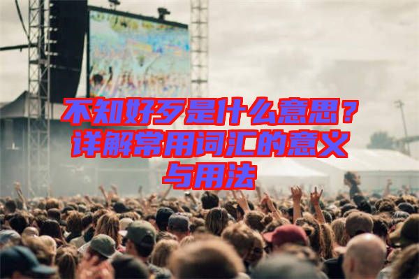 不知好歹是什么意思？詳解常用詞匯的意義與用法