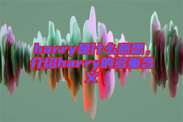 harry是什么意思，介紹harry的多重含義