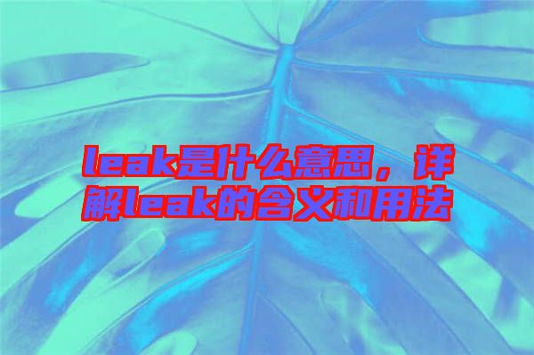 leak是什么意思，詳解leak的含義和用法