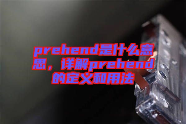 prehend是什么意思，詳解prehend的定義和用法