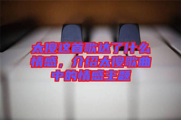 太傻這首歌達(dá)了什么情感，介紹太傻歌曲中的情感主題