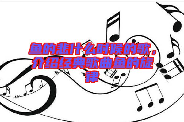 魚的悲什么時候的歌，介紹經(jīng)典歌曲魚的旋律