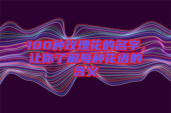 100種玫瑰花的名字，讓你了解每種花語的含義