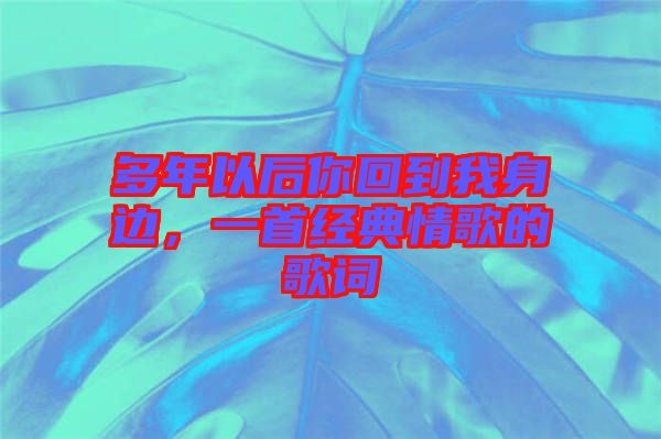 多年以后你回到我身邊，一首經(jīng)典情歌的歌詞