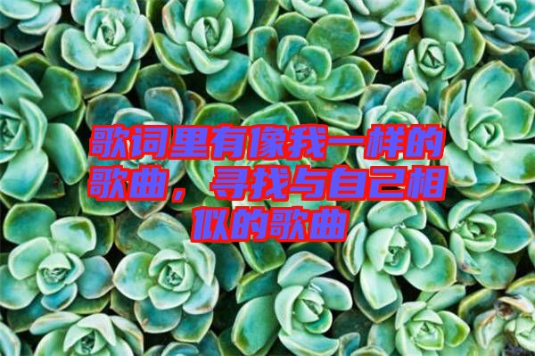 歌詞里有像我一樣的歌曲，尋找與自己相似的歌曲