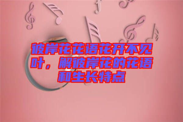 彼岸花花語(yǔ)花開(kāi)不見(jiàn)葉，解彼岸花的花語(yǔ)和生長(zhǎng)特點(diǎn)