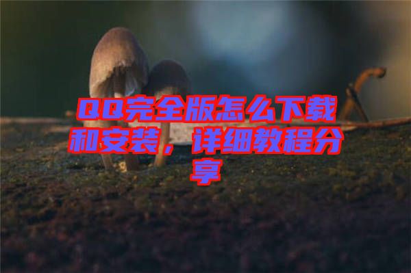 QQ完全版怎么下載和安裝，詳細(xì)教程分享