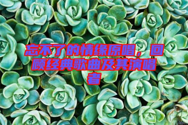 忘不了的情緣原唱，回顧經(jīng)典歌曲及其演唱者