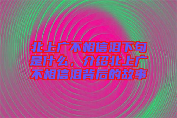 北上廣不相信淚下句是什么，介紹北上廣不相信淚背后的故事