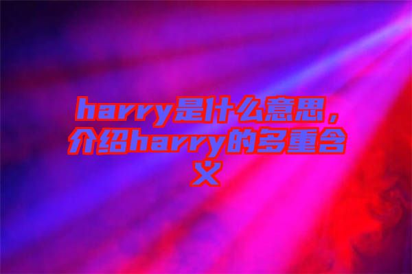 harry是什么意思，介紹harry的多重含義