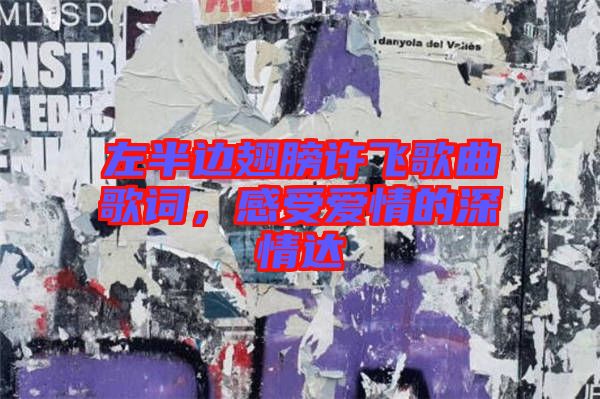 左半邊翅膀許飛歌曲歌詞，感受愛情的深情達