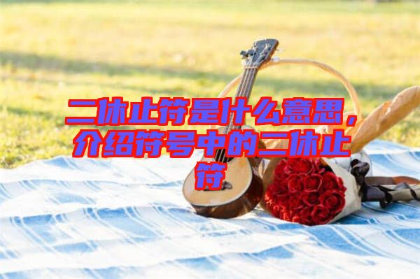 二休止符是什么意思，介紹符號(hào)中的二休止符