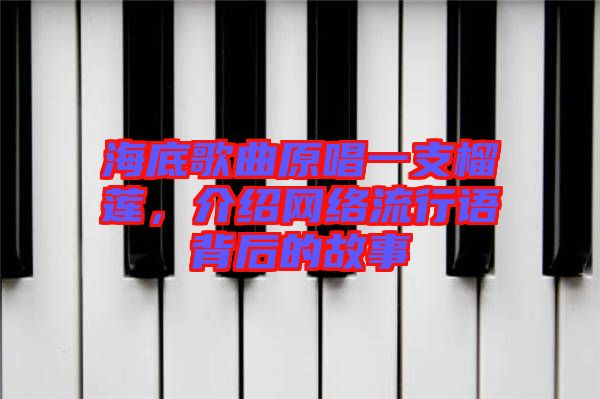 海底歌曲原唱一支榴蓮，介紹網絡流行語背后的故事