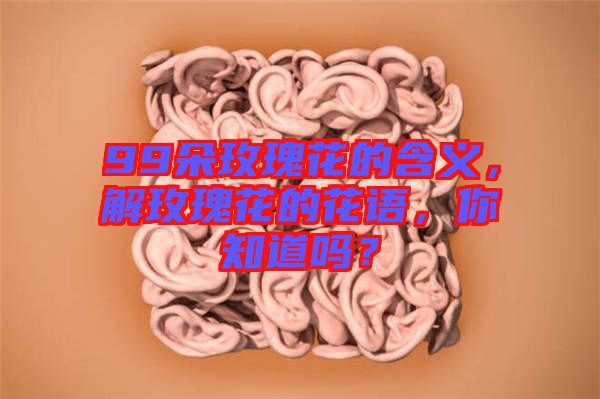 99朵玫瑰花的含義，解玫瑰花的花語(yǔ)，你知道嗎？