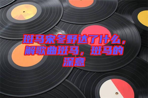 斑馬宋冬野達(dá)了什么，解歌曲斑馬，斑馬的深意