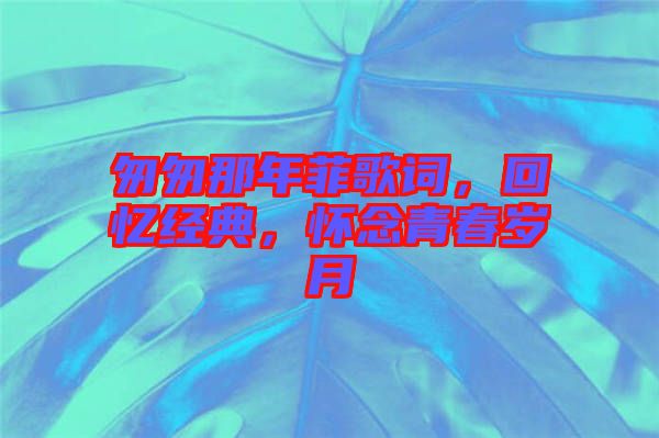 匆匆那年菲歌詞，回憶經(jīng)典，懷念青春歲月