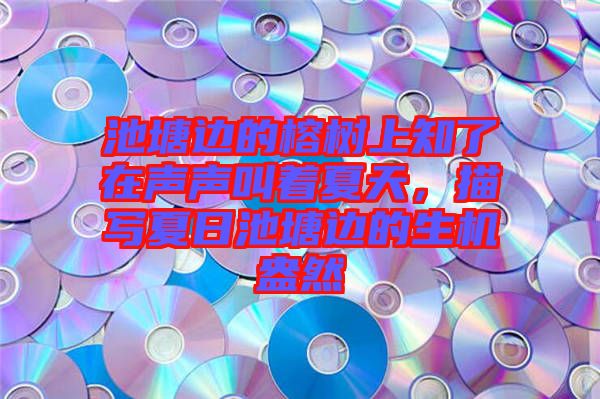 池塘邊的榕樹上知了在聲聲叫著夏天，描寫夏日池塘邊的生機(jī)盎然