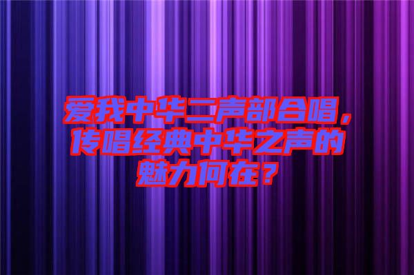 愛我中華二聲部合唱，傳唱經(jīng)典中華之聲的魅力何在？