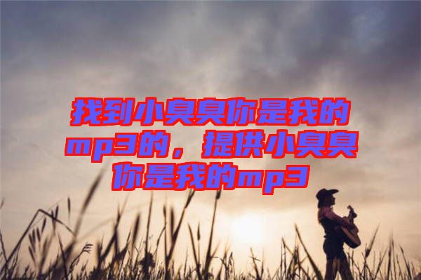 找到小臭臭你是我的mp3的，提供小臭臭你是我的mp3