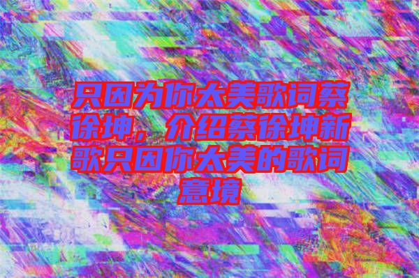 只因?yàn)槟闾栏柙~蔡徐坤，介紹蔡徐坤新歌只因你太美的歌詞意境