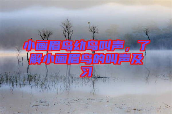 小畫(huà)眉鳥(niǎo)幼鳥(niǎo)叫聲，了解小畫(huà)眉鳥(niǎo)的叫聲及習(xí)