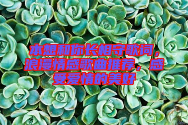 本想和你長(zhǎng)相守歌詞，浪漫情感歌曲推薦，感受愛(ài)情的美好