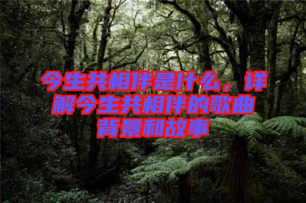 今生共相伴是什么，詳解今生共相伴的歌曲背景和故事