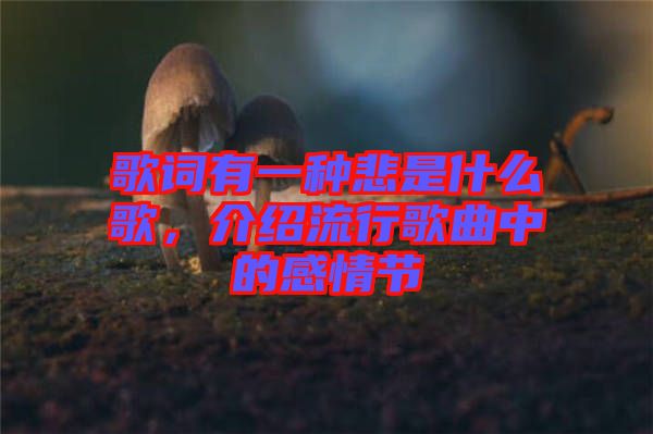 歌詞有一種悲是什么歌，介紹流行歌曲中的感情節(jié)