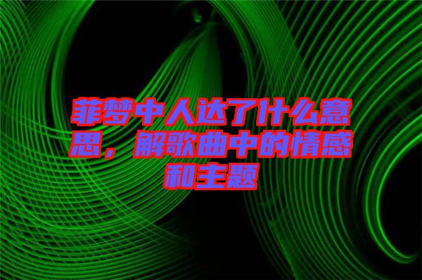 菲夢中人達(dá)了什么意思，解歌曲中的情感和主題