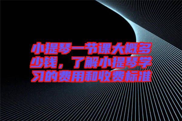 小提琴一節(jié)課大概多少錢，了解小提琴學習的費用和收費標準