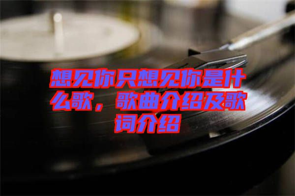 想見你只想見你是什么歌，歌曲介紹及歌詞介紹