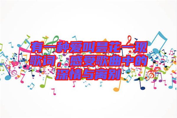 有一種愛叫曇花一現(xiàn)歌詞，感受歌曲中的深情與離別