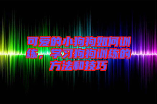 可愛的小狗狗如何訓練，學習狗狗訓練的方法和技巧