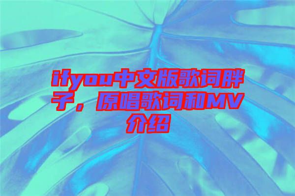 ifyou中文版歌詞胖子，原唱歌詞和MV介紹