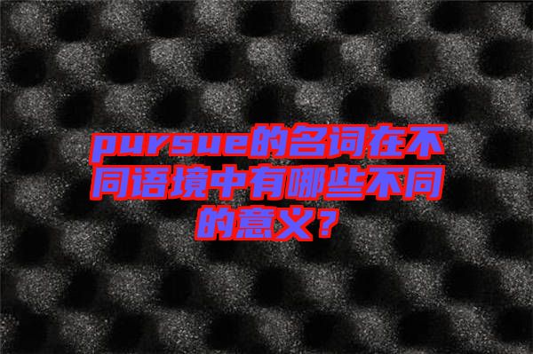 pursue的名詞在不同語(yǔ)境中有哪些不同的意義？