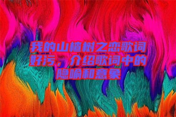 我的山楂樹之戀歌詞好污，介紹歌詞中的隱喻和意象