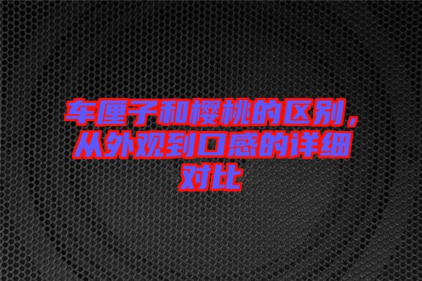 車(chē)?yán)遄雍蜋烟业膮^(qū)別，從外觀(guān)到口感的詳細(xì)對(duì)比