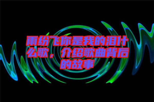 雨紛飛你是我的淚什么歌，介紹歌曲背后的故事