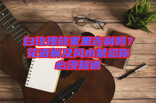 白玫瑰放家里吉利嗎？花語(yǔ)解及風(fēng)水禁忌你必須知道