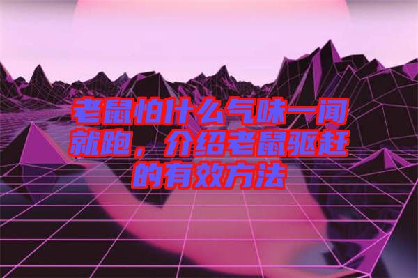 老鼠怕什么氣味一聞就跑，介紹老鼠驅(qū)趕的有效方法