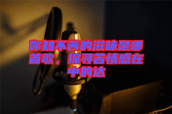 你知不苦的滋味是哪首歌，探尋苦情感在中的達(dá)