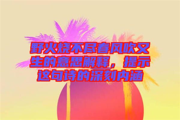 野火燒不盡春風(fēng)吹又生的意思解釋，提示這句詩的深刻內(nèi)涵