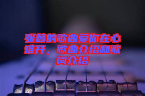 張薔的歌曲愛(ài)你在心難開(kāi)，歌曲介紹和歌詞介紹