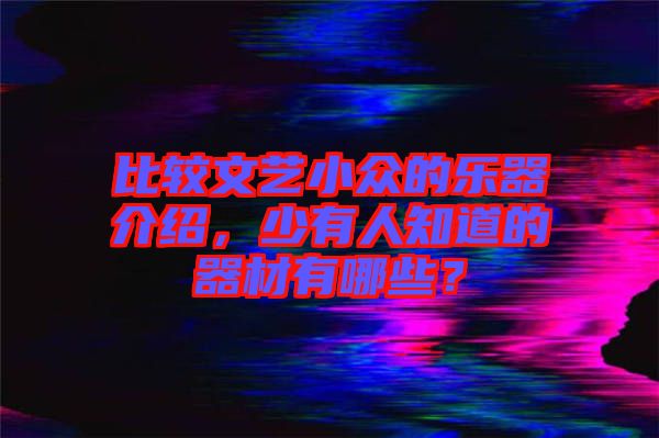 比較文藝小眾的樂(lè)器介紹，少有人知道的器材有哪些？