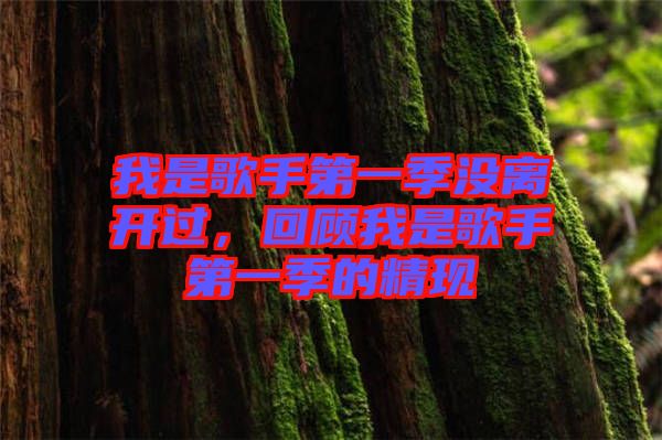 我是歌手第一季沒離開過，回顧我是歌手第一季的精現(xiàn)