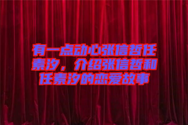 有一點動心張信哲任素汐，介紹張信哲和任素汐的戀愛故事