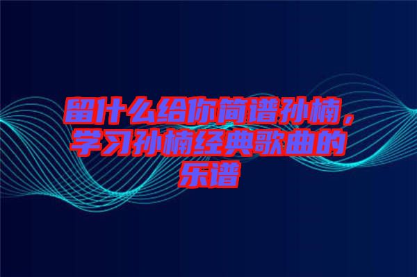 留什么給你簡譜孫楠，學(xué)習(xí)孫楠經(jīng)典歌曲的樂譜