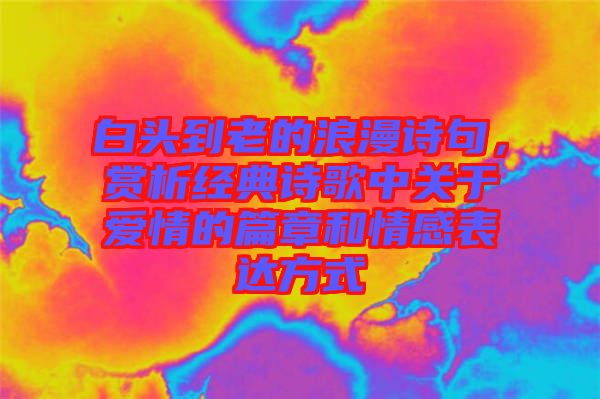 白頭到老的浪漫詩句，賞析經(jīng)典詩歌中關(guān)于愛情的篇章和情感表達(dá)方式