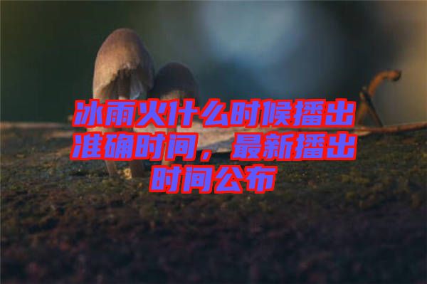 冰雨火什么時候播出準確時間，最新播出時間公布